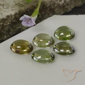 Tourmaline Gemstones in 7 x 6 mm Size for Sale, Tourmaline Stones in Multicolor Color