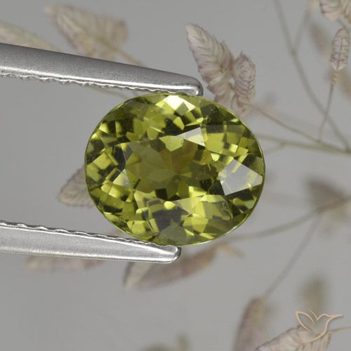 Medium Green Турмалин Камень - 1.3ct Фасетный Овал (ID: 284833)