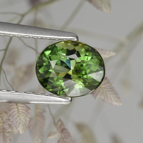 Earthy Green Турмалин Камень - 1.2ct Фасетный Овал (ID: 284834)