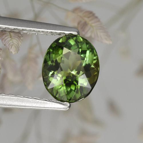 1.17 ct Green Tourmaline Stone, Natural Tourmaline in Oval Facet Shape for Sale