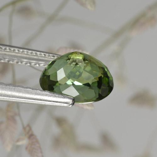 Tourmaline Gemstone in 7 x 5.7 mm Size for Sale, Tourmaline Stone in Forest Green Color