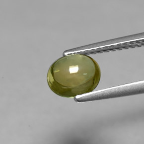Tourmaline Gemstone in 6.8 x 5.9 mm Size for Sale, Tourmaline Stone in Golden Green Color