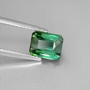 1.64 ct Green Tourmaline Stone, Natural Tourmaline in Octagon / Scissor Cut Shape for Sale