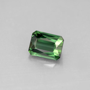 1.42 ct Green Tourmaline Gemstone, Tourmaline Gem in Octagon / Scissor Cut Shape for Sale.