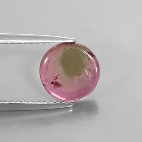 1.55 ct Bi-color Tourmaline Stone, Natural Tourmaline in Fancy Slice Shape for Sale