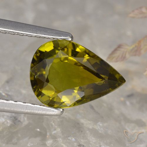 1.44 ct Loose Green Tourmaline, 9.5 x 6.7 mm Pear Cut From Mozambique, Photo A