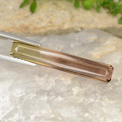 Bi-color Tourmaline Gem - 4.9ct Octagon / Scissor Cut (ID: 327838)