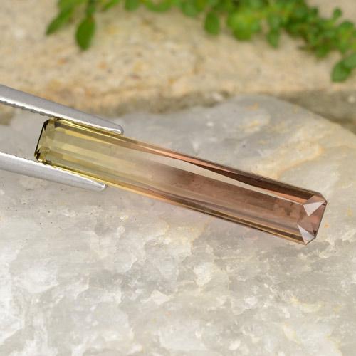 4.87 ct Bi-color Tourmaline Stone, Natural Tourmaline in Octagon / Scissor Cut Shape for Sale