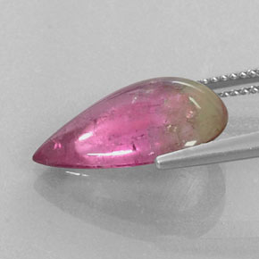 Tourmaline Gemstone in 17.2 x 11.7 mm Size for Sale, Tourmaline Stone in Bi-color Color