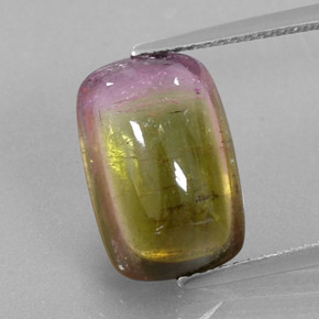 6.64 ct Bi-color Tourmaline Gemstone, Tourmaline Gem in Cushion Cabochon Shape for Sale.