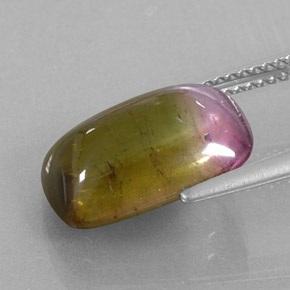 Tourmaline Gemstone in 14 x 9.4 mm Size for Sale, Tourmaline Stone in Bi-color Color
