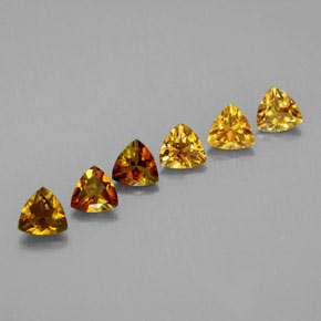 0.2ct Trillion Facet Multicolor Tourmaline Gem for sale 0.2ct Trillion Facet Multicolor Tourmaline Gem (ID: 336237)