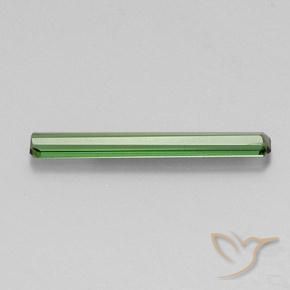 Tourmaline Gemstone in 20.7 x 2.7 mm Size for Sale, Tourmaline Stone in Medium Green Color