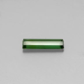 Tourmaline Gemstone in 13.7 x 4.4 mm Size for Sale, Tourmaline Stone in Green Color