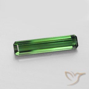 2.41 ct Loose Green Tourmaline, 18 x 4 mm Octagon Cut From Mozambique, Photo A