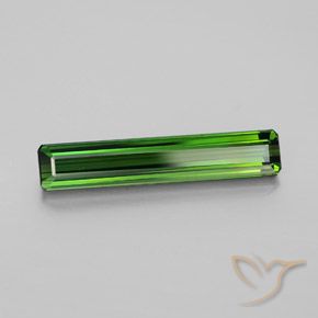 2.68 ct Green Tourmaline Stone, Natural Tourmaline in Octagon Facet Shape for Sale