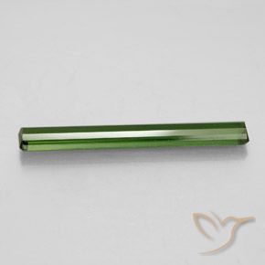 Tourmaline Gemstone in 25.3 x 3.1 mm Size for Sale, Tourmaline Stone in Forest Green Color