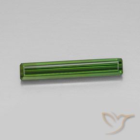Forest Green Tourmaline Gem - 2.7ct Octagon Facet (ID: 348384)