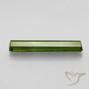 Tourmaline Gemstone in 21.6 x 3.6 mm Size for Sale, Tourmaline Stone in Earthy Green Color