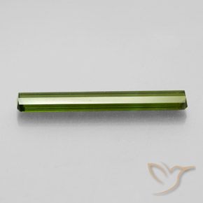 Tourmaline Gemstone in 24.5 x 3.6 mm Size for Sale, Tourmaline Stone in Medium Green Color