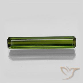2.70ct Natural Forest Green Tourmaline, Emerald Cut, VVS-VS
