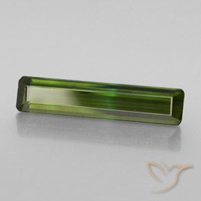 2.57 ct Green Tourmaline Stone, Natural Tourmaline in Octagon Facet Shape for Sale