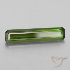 2.21 ct Green Tourmaline Stone, Natural Tourmaline in Octagon Facet Shape for Sale