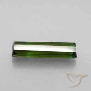 Tourmaline Gemstone in 15.7 x 4.8 mm Size for Sale, Tourmaline Stone in Forest Green Color