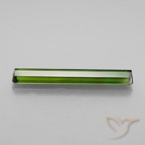 Tourmaline Gemstone in 24.2 x 3.9 mm Size for Sale, Tourmaline Stone in Yellowish Green Color