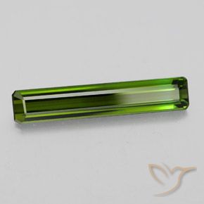 2.34 ct Green Tourmaline Stone, Natural Tourmaline in Octagon Facet Shape for Sale