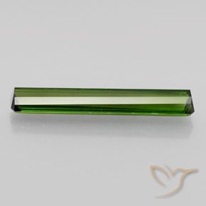 Tourmaline Gemstone in 19.9 x 3.8 mm Size for Sale, Tourmaline Stone in Earthy Green Color
