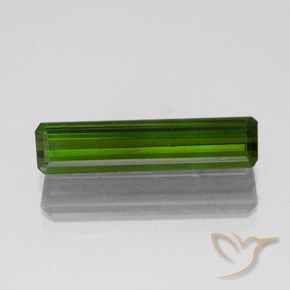 1.47ct Natural Forest Green Tourmaline, Emerald Cut, VVS-VS