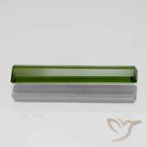 Tourmaline Gemstone in 18.9 x 3.4 mm Size for Sale, Tourmaline Stone in Forest Green Color