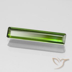 1.45 ct Green Tourmaline Stone, Natural Tourmaline in Octagon Facet Shape for Sale