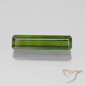 1.45ct Natural Forest Green Tourmaline, Emerald Cut, SI