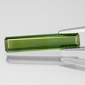 Medium Green Tourmaline Gem - 1.5ct Octagon Facet (ID: 349599)