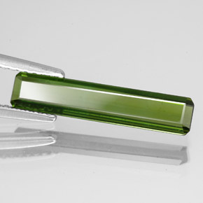 1.51 ct Green Tourmaline Stone, Natural Tourmaline in Octagon Facet Shape for Sale