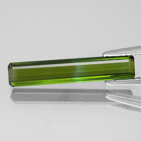 Forest Green Tourmaline Gem - 1.9ct Octagon Facet (ID: 349647)
