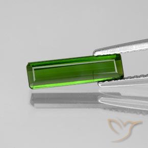 Medium-Dark Green Turmalin Edelstein - 1.1ct Oktagon facettiert (ID: 350269)