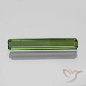1.47ct Natural Forest Green Tourmaline, Octagon / Emerald Cut, SI, Photo A