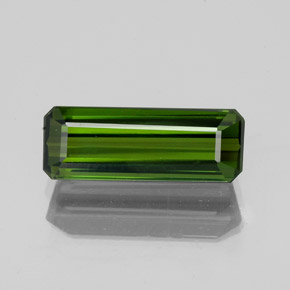 Waldgrün Turmalin Edelstein - 1.6ct Oktagon facettiert (ID: 350308)