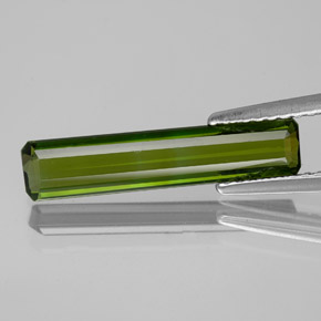 Verde bosque Turmalina Gema - 1.5ct Forma octagonal (ID: 350309)