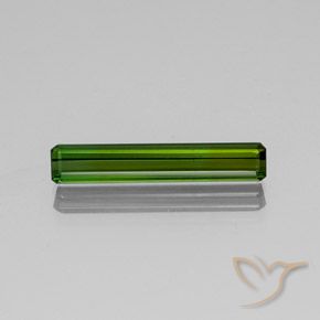 2.82ct Natural Forest Green Tourmaline, Emerald Cut, SI