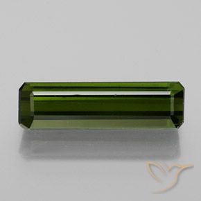 1.62ct Natural Forest Green Tourmaline, Emerald Cut, VS