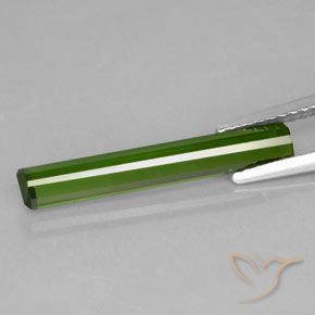 Tourmaline Gemstone in 20.7 x 3.4 mm Size for Sale, Tourmaline Stone in Forest Green Color