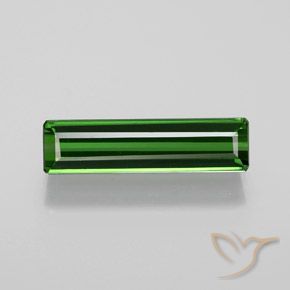 1.60ct Natural Forest Green Tourmaline, Emerald Cut, VVS