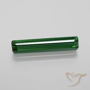Forest Green Tourmaline Gem - 1.9ct Octagon Facet (ID: 365066)