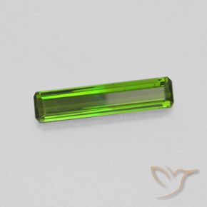 1.22 ct Green Tourmaline Stone, Natural Tourmaline in Octagon Facet Shape for Sale