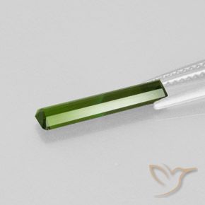 Tourmaline Gemstone in 15.3 x 3.4 mm Size for Sale, Tourmaline Stone in Medium Green Color