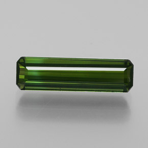 Forest Green Tourmaline Gem - 1.3ct Octagon Facet (ID: 365163)